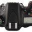 Nikon D600 Body