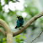 Nikon 70-200mm f/4G ED VR AF-S Nikkor